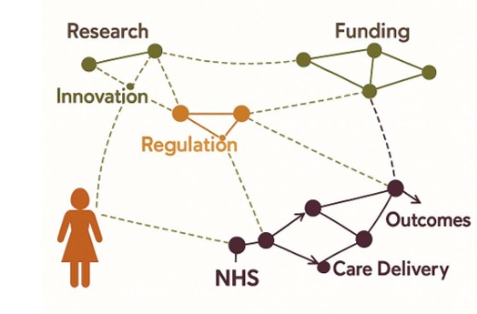 A diagram showing interconnected nodes labelled Research, Innovation, Regulation, Funding, NHS, Care Delivery, and Outcomes, linked by dotted and solid lines to illustrate relationships within the women’s health ecosystem.